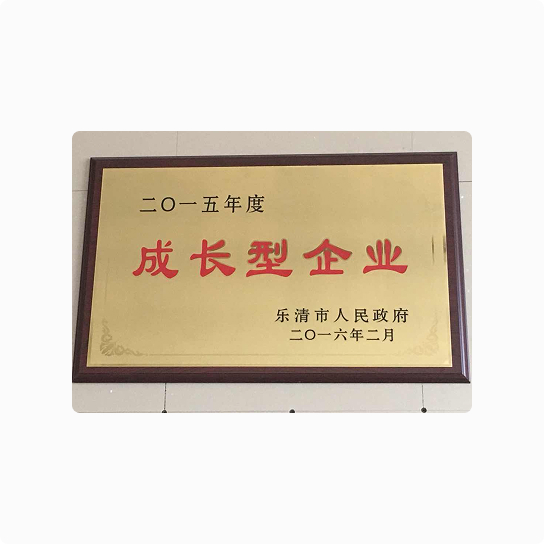 2015 Annual Growth Enterprise